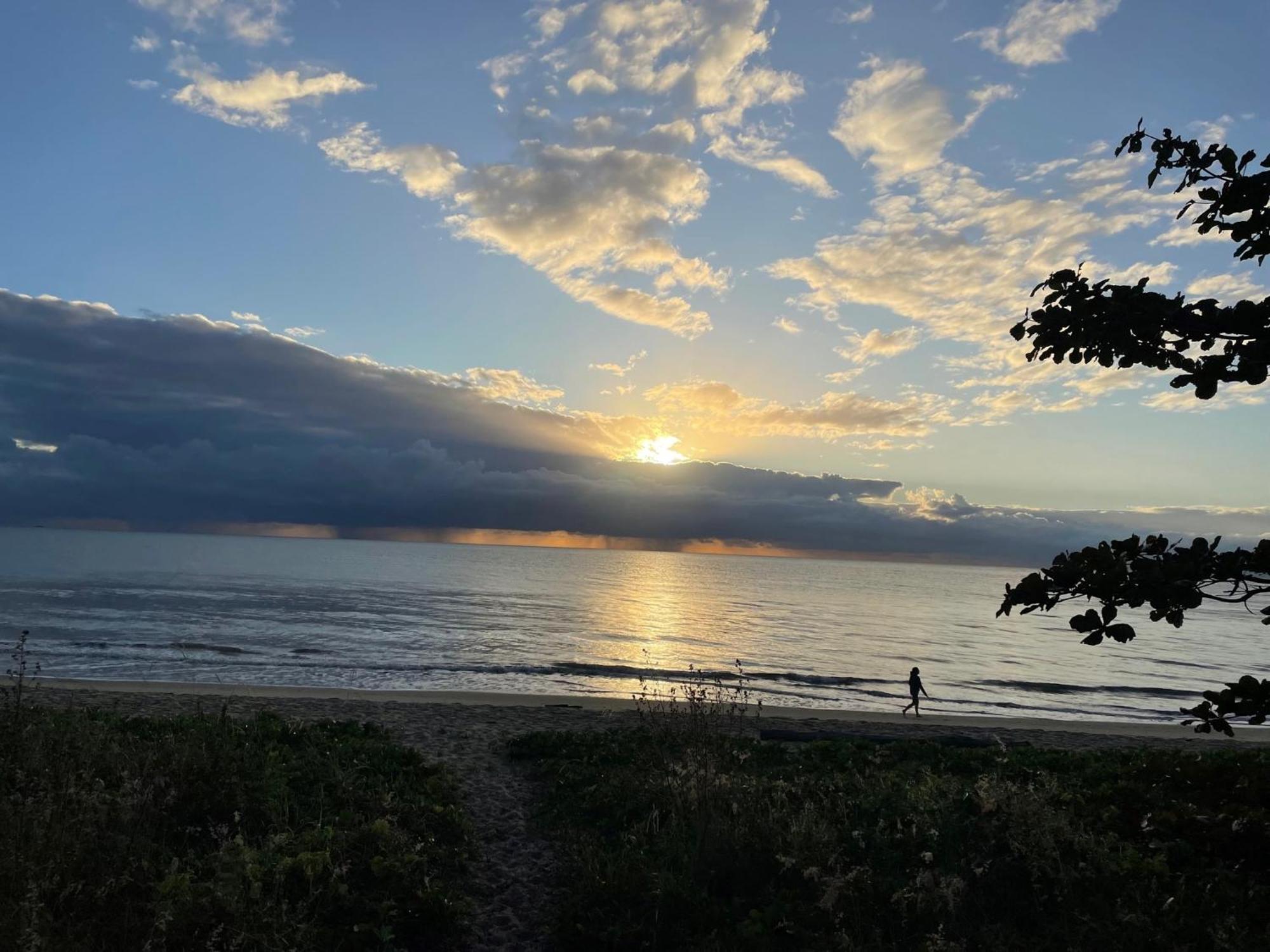 The York Beachfront Holiday Apartments Yorkeys Knob Экстерьер фото